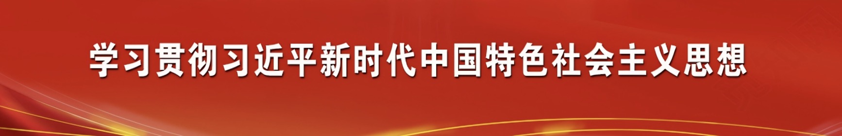 学习贯彻习近平新时代中国特色社会主义思想