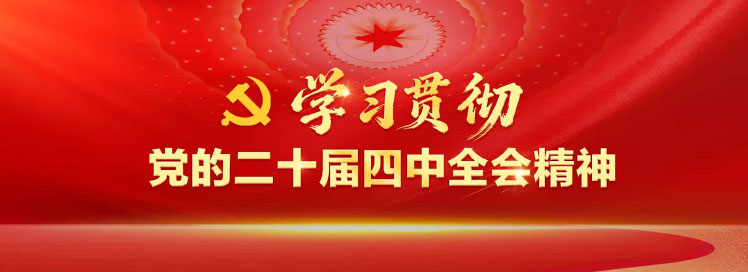 学习贯彻党的二十届四中全会精神